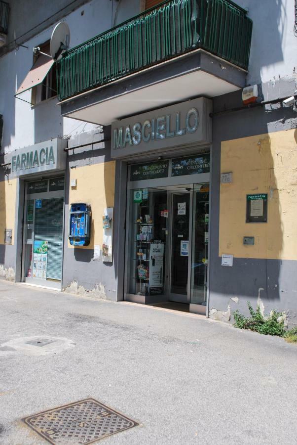 Alpivida * Naples